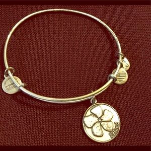 Alex and Ani - Friendship Bracelet